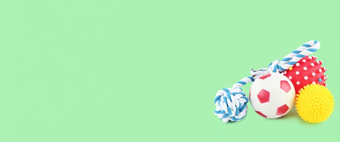 pet supplies